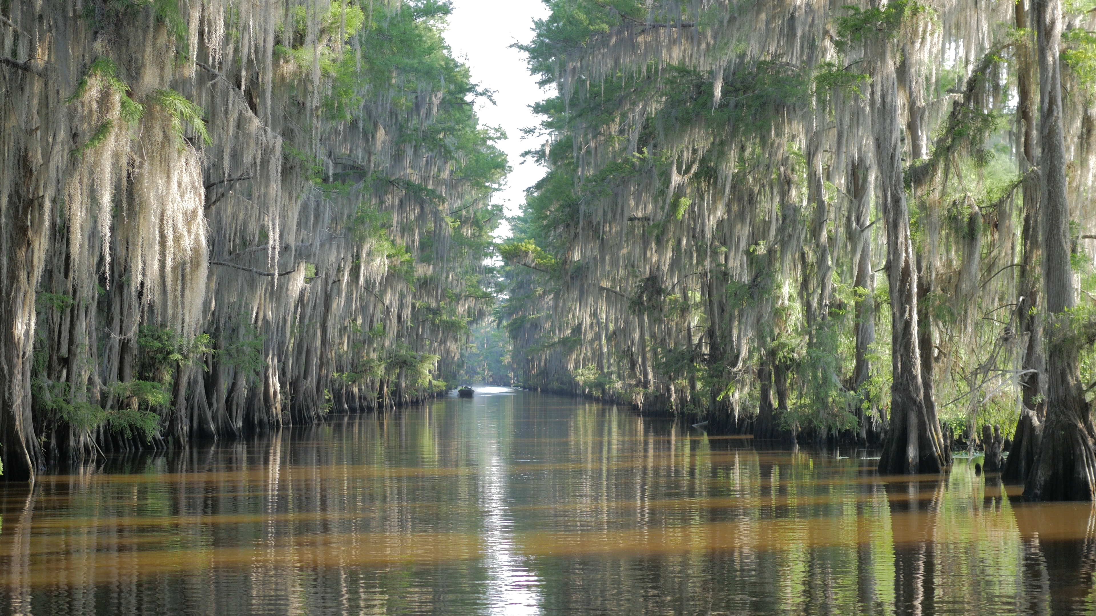 Caddo Lake