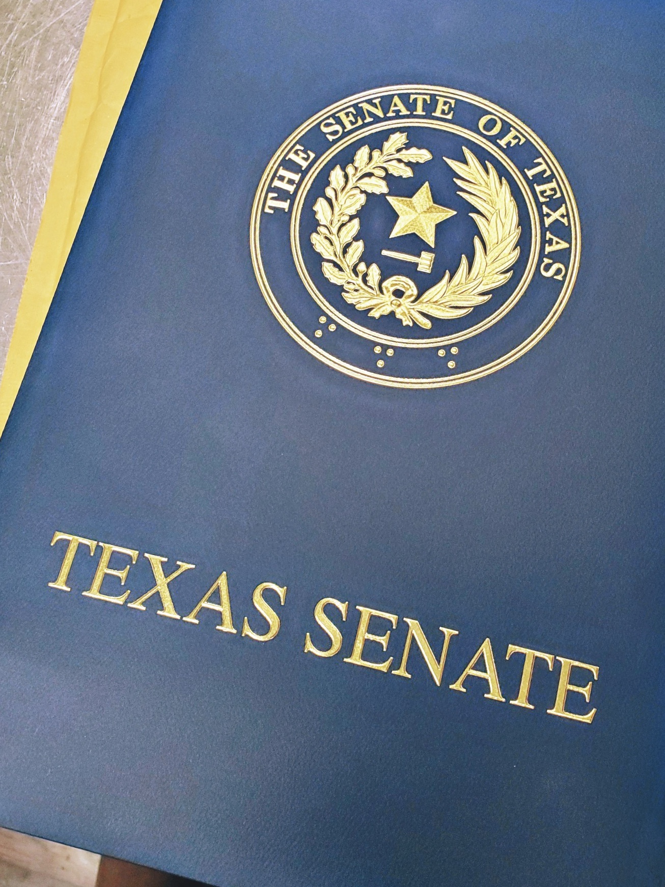 Texas State Senate Recognition